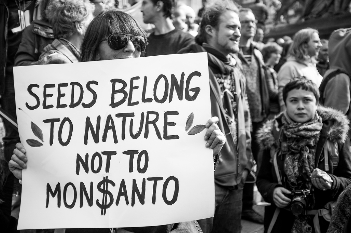 monsanto_demonstration_20130525_2_foto_kevin_vanden